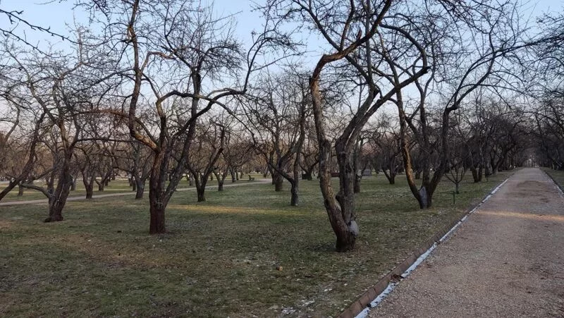 Коломенское