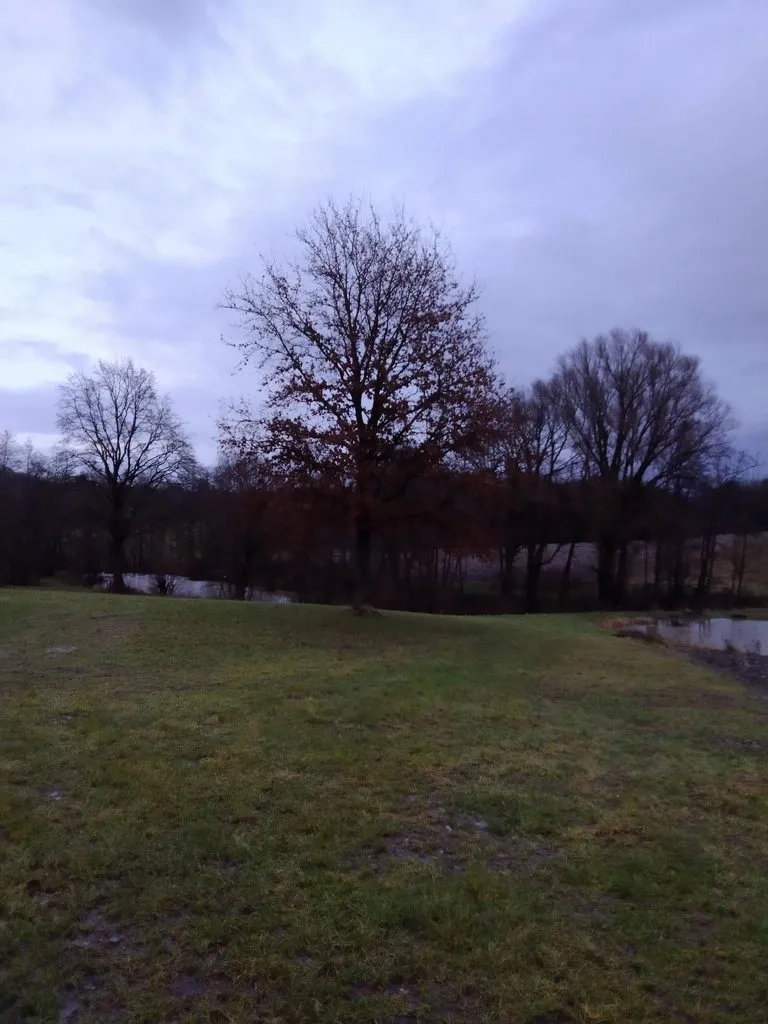 Чайная беседка