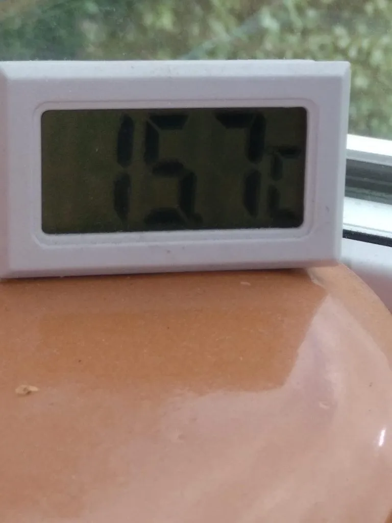 Чайная беседка