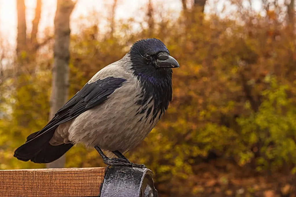 Любимые стихи