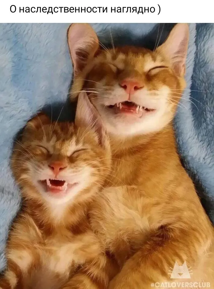 Посмеялся сам - поделись с другом!!!