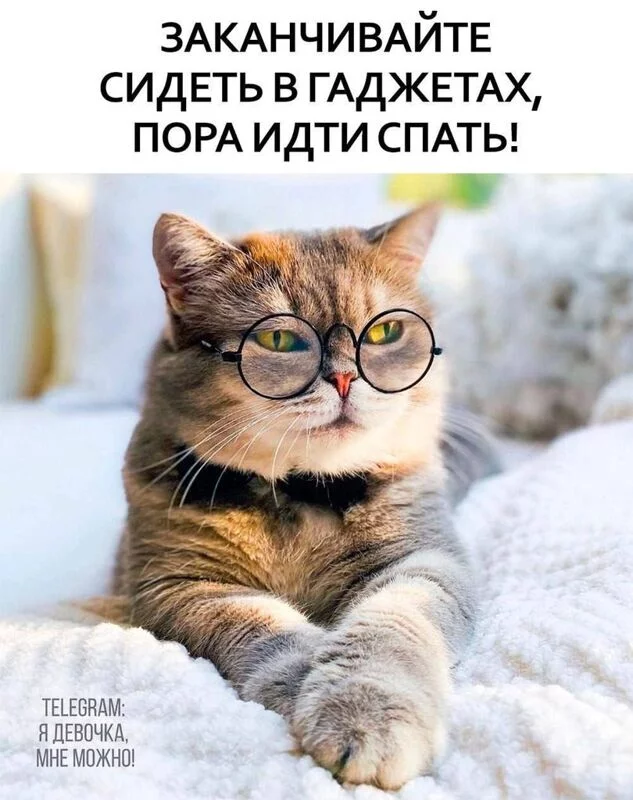 Кафе "У пани Сони"