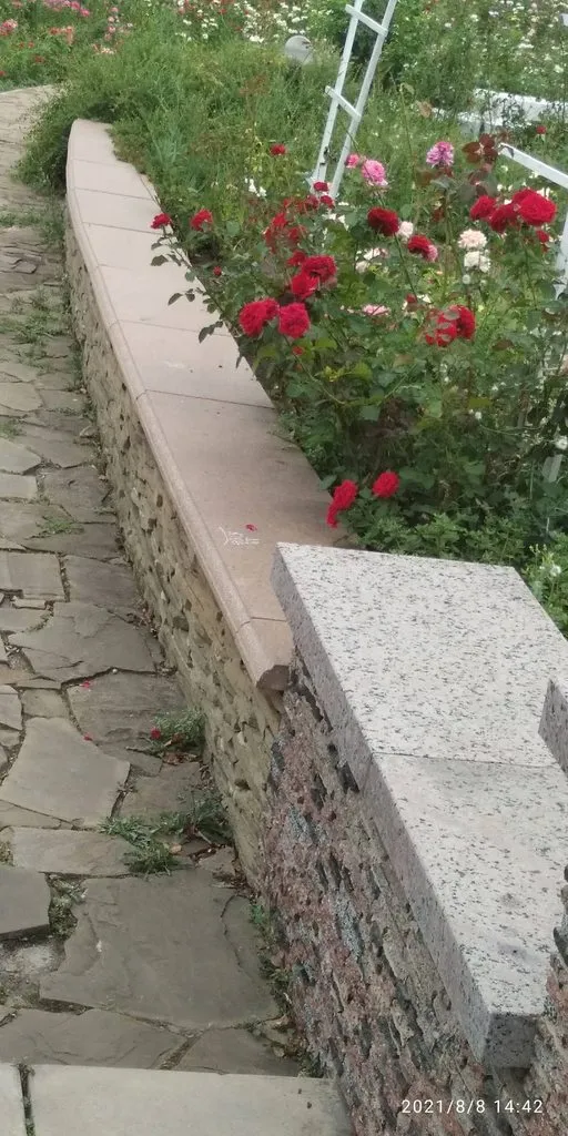 Tapтaлeтки & Ко