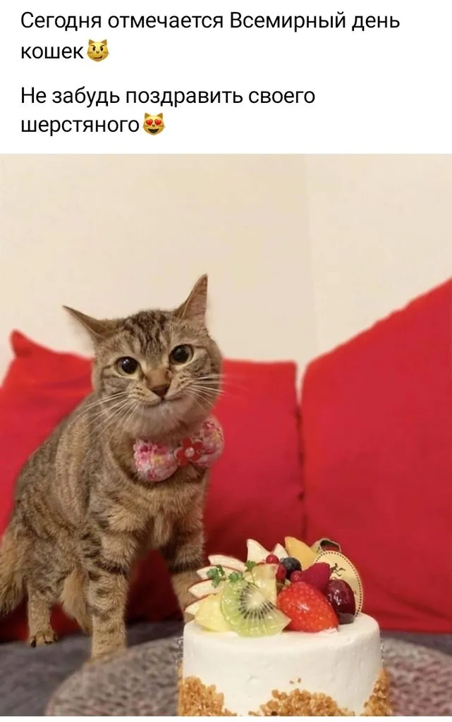Кошичкина полиция