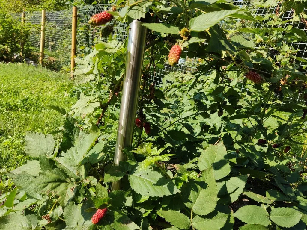 Чайная беседка