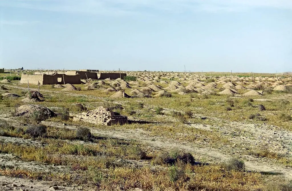 Запечатленная история