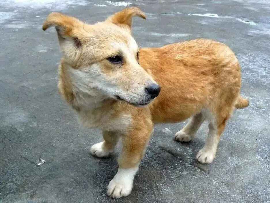 Рассказы для души