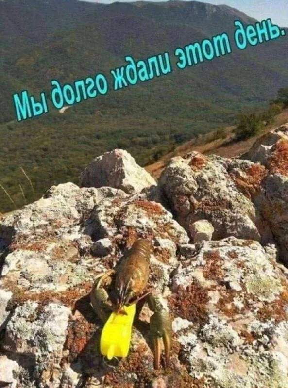Посмеялся сам - поделись с другом!!!