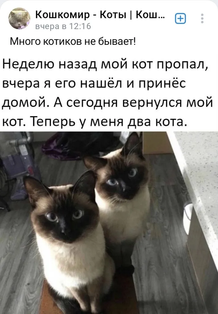 Посмеялся сам - поделись с другом!!!