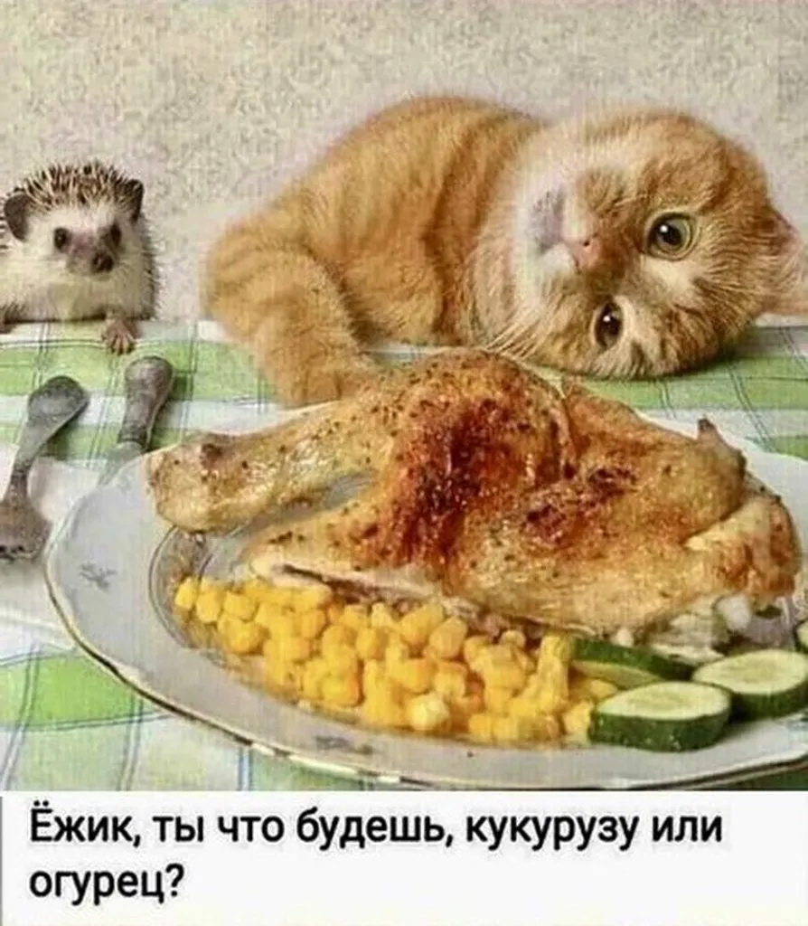 Посмеялся сам - поделись с другом!!!