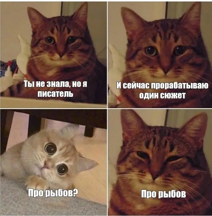 Кошичкина полиция