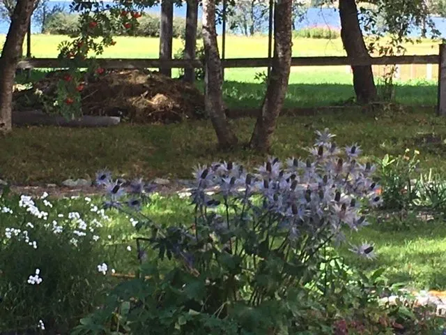 Чайная беседка