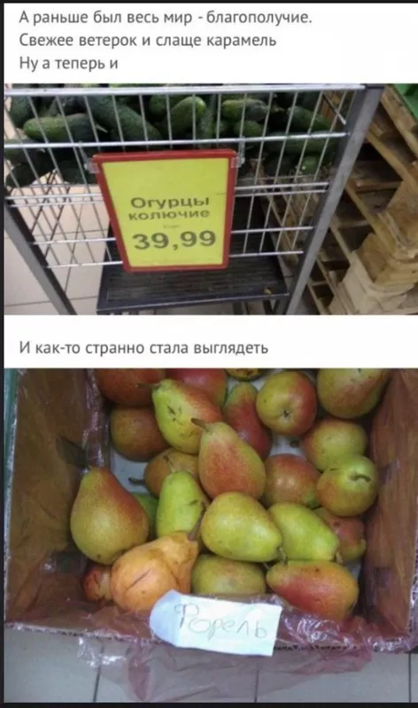 Всюду рифмы