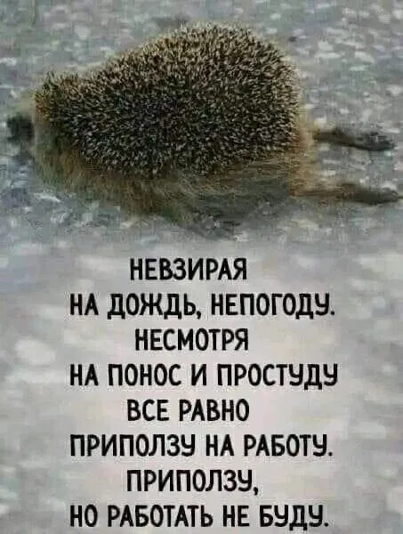 Посмеялся сам - поделись с другом!!!
