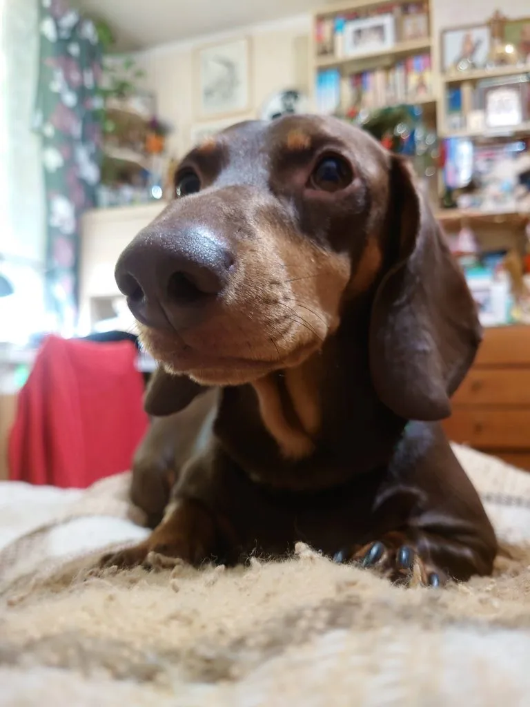 Живой Журнал Жульена