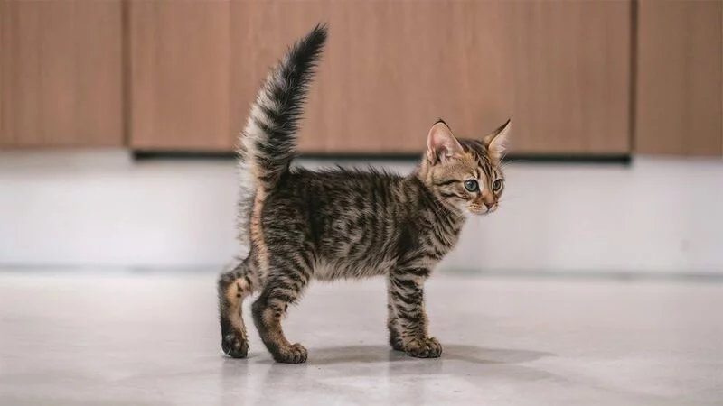 Рассказы для души