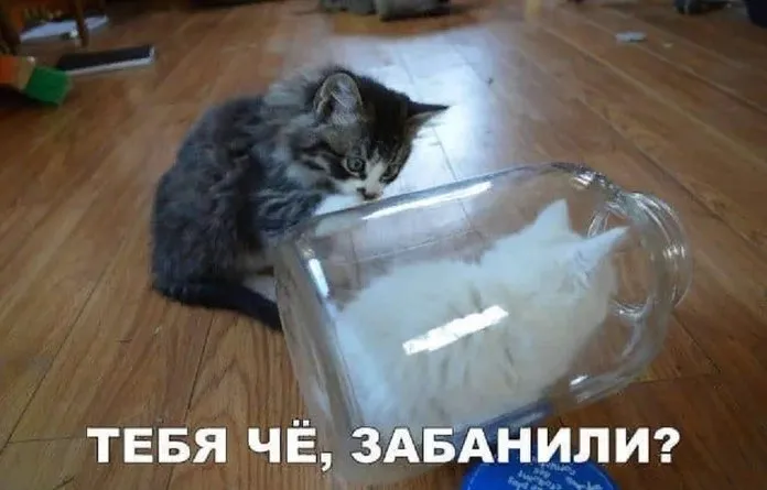 Посмеялся сам - поделись с другом!!!