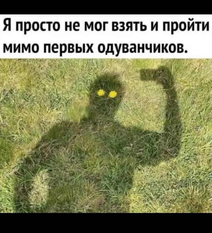 Tapтaлeтки & Ко