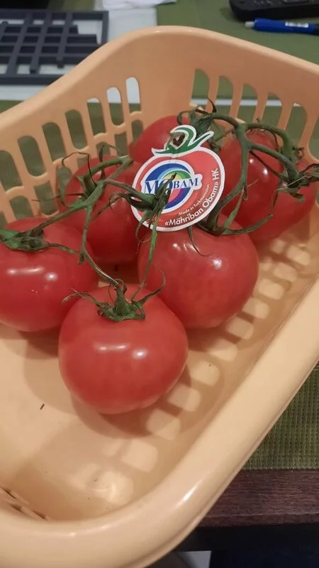 Где, что и когда купить в Москве