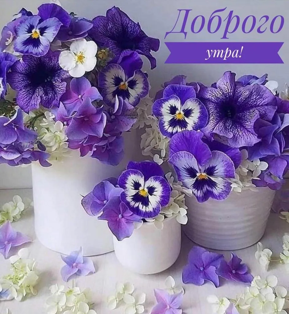 Tapтaлeтки & Ко