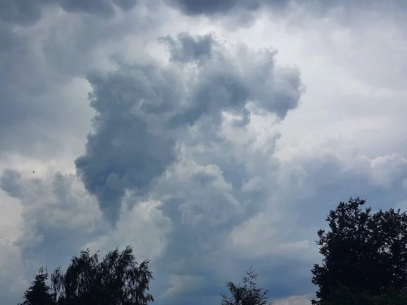 Такое разное небо