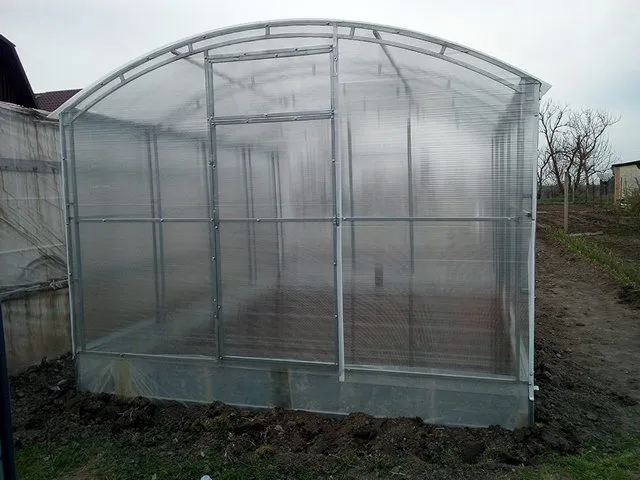 Пора выращивать рассаду