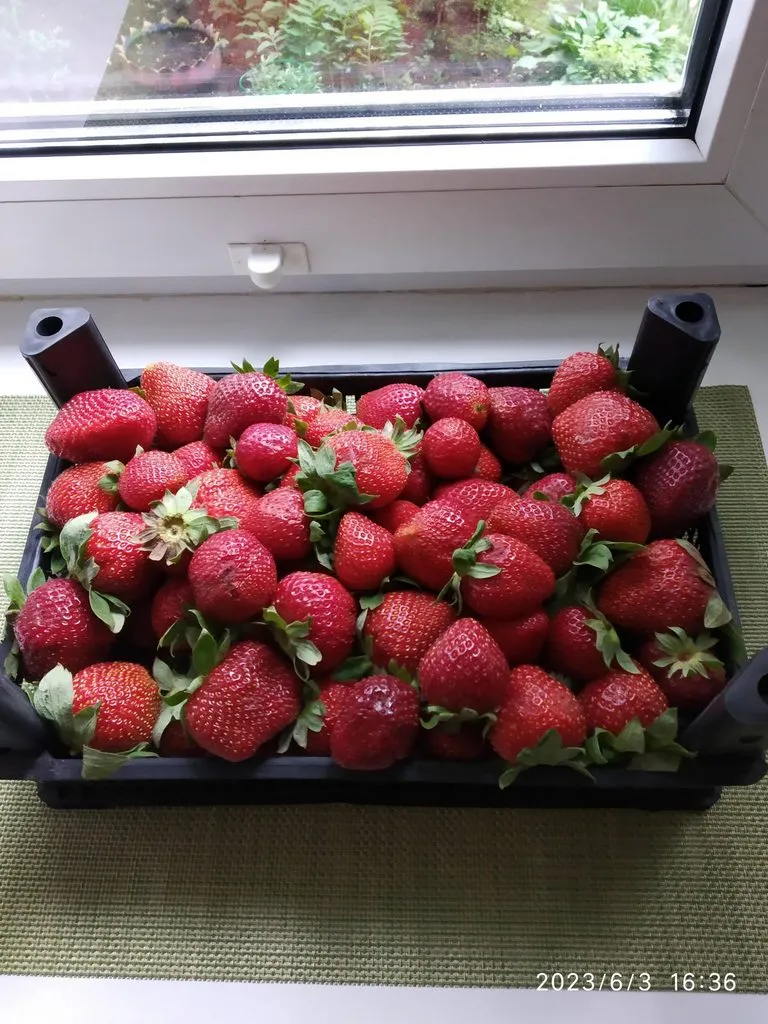 Где, что и когда купить в Москве