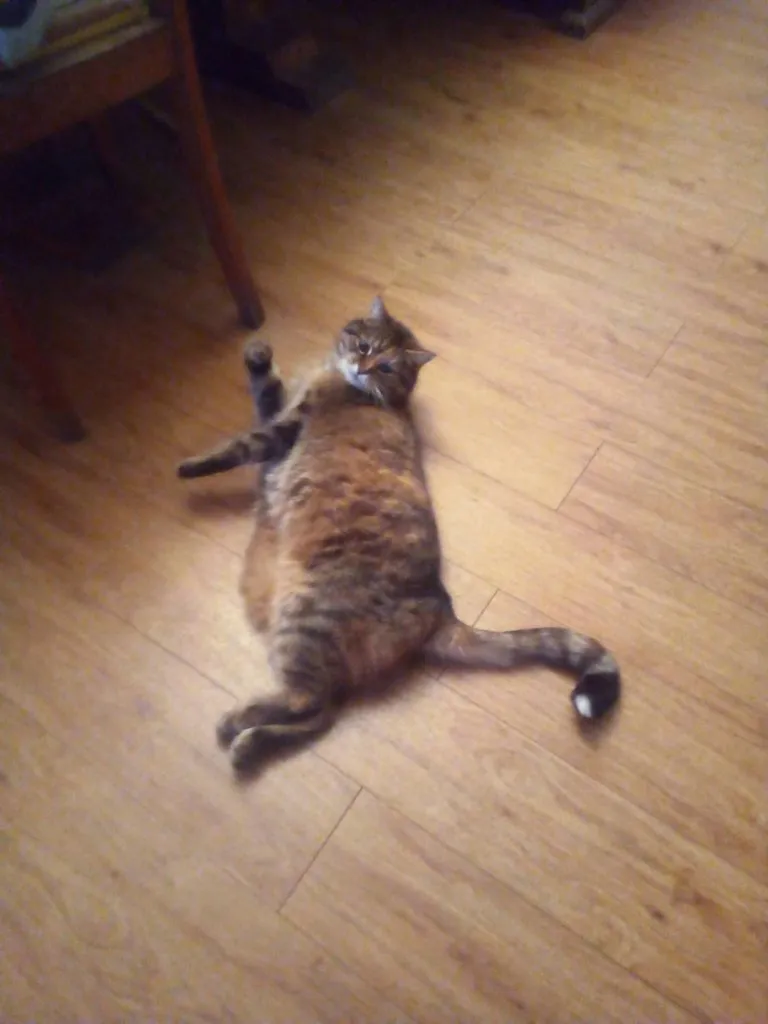 Чайная беседка