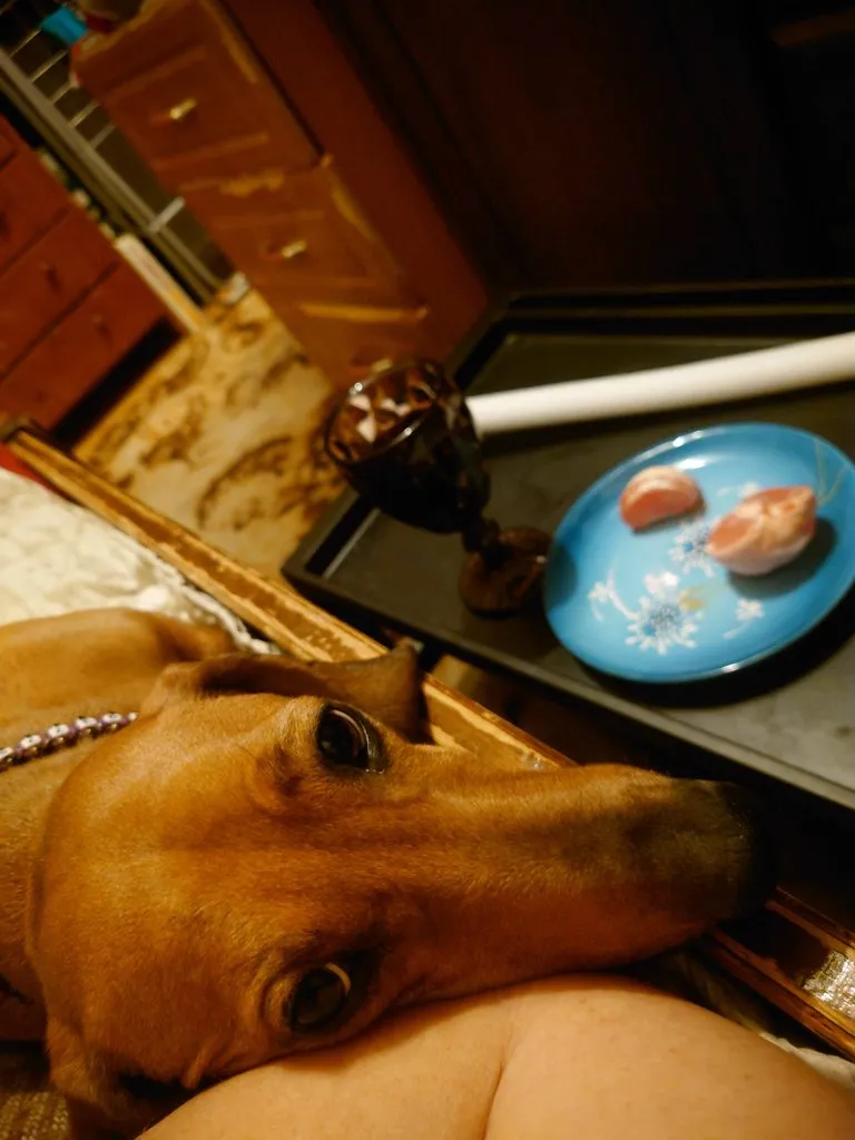 Живой Журнал Жульена