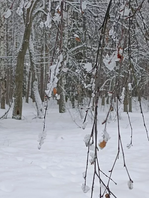 Фотонастроение