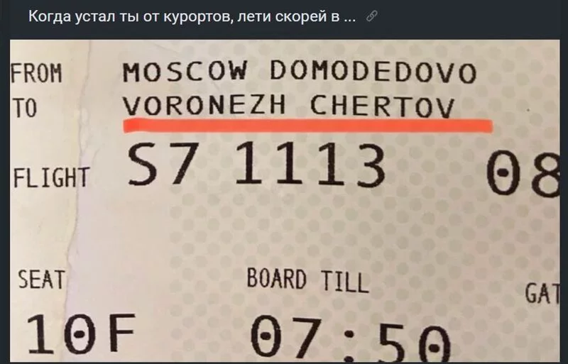 Всюду рифмы