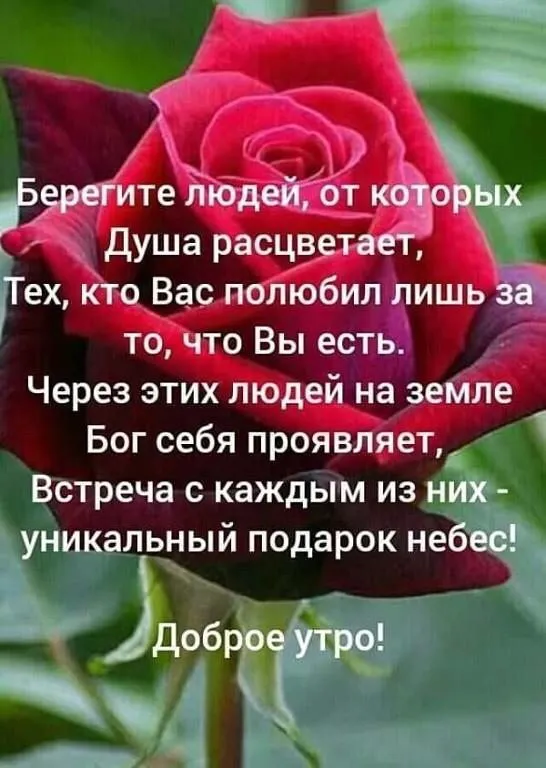 Кафе «У пани Сони»