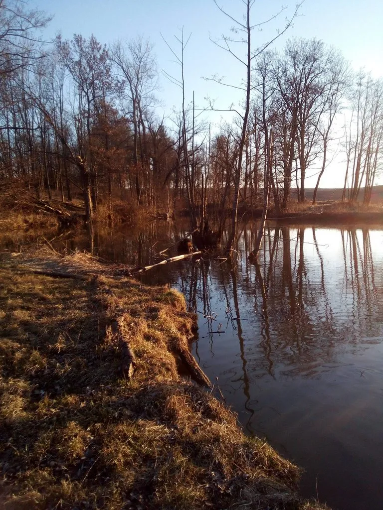 Чайная беседка