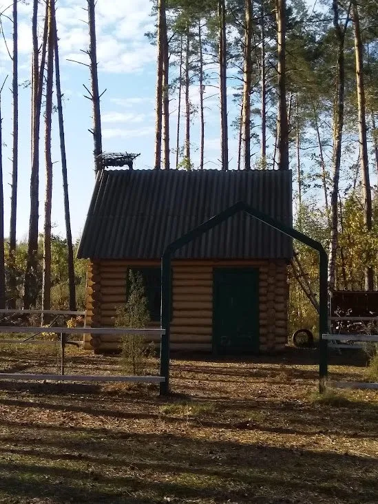 Чайная беседка