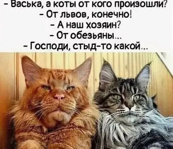 Посмеялся сам - поделись с другом!!!