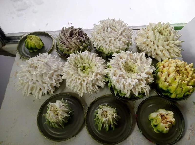 Зефирные букеты и композиции