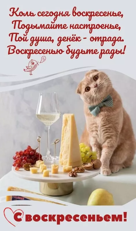 Кафе "У пани Сони"