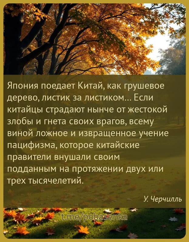 «Япония поедает Китай, как грушевое дерево, листик за листиком Если китайцы страдают нынче от жестокой злобы и гнета своих...» height="550" width="550"