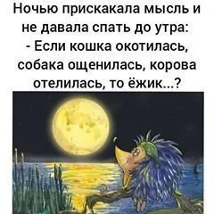 Посмеялся сам - поделись с другом!!!