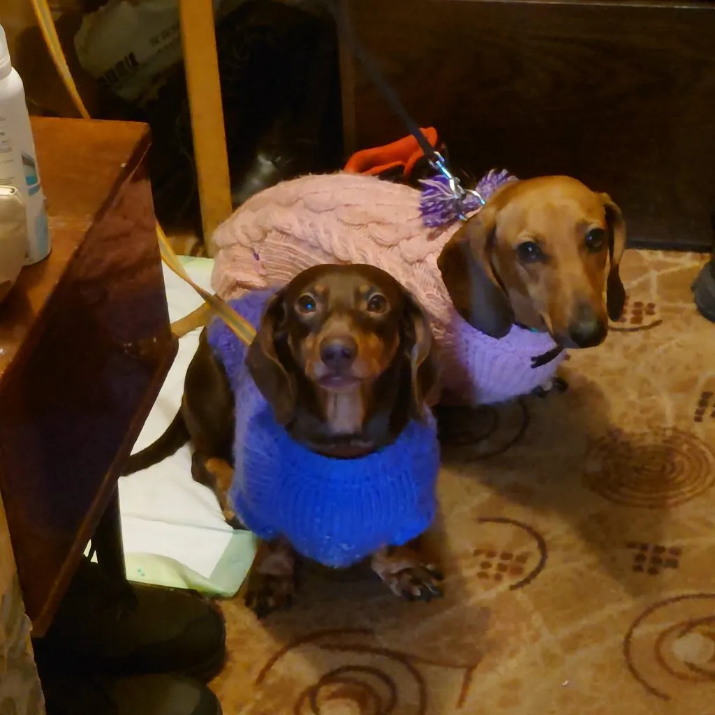 Живой Журнал Жульена