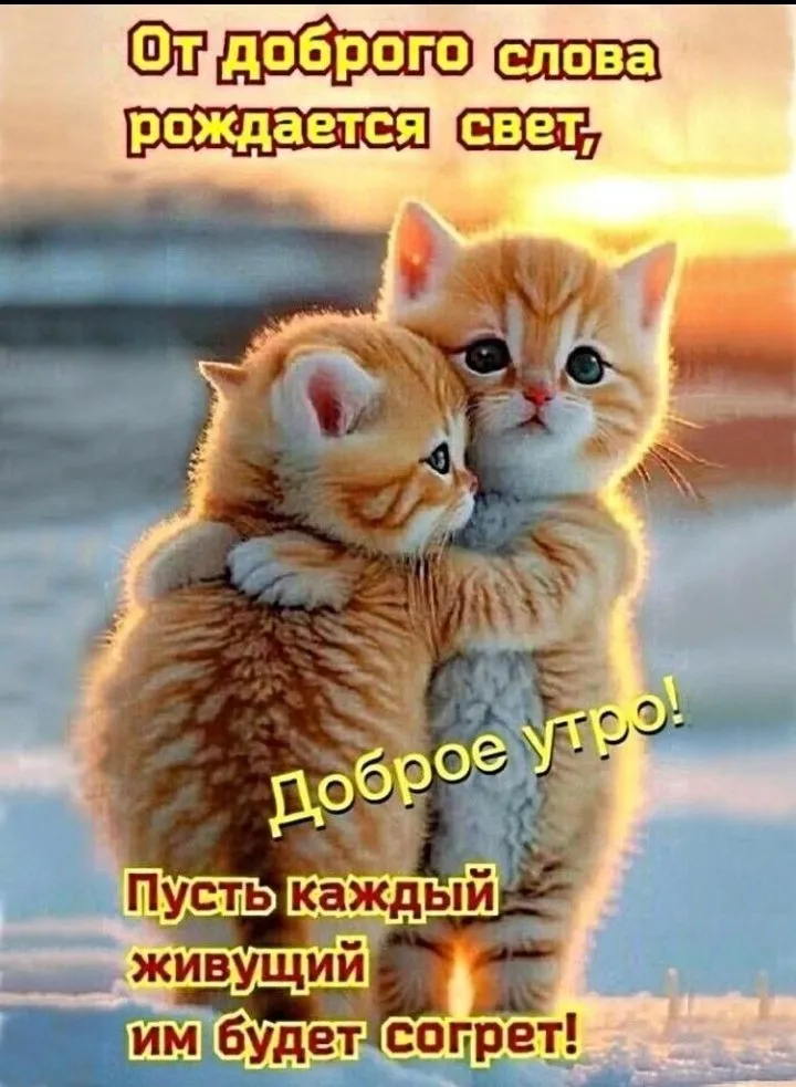 Кафе "У пани Сони"