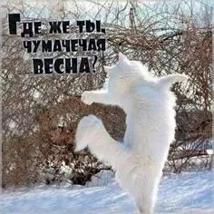 Кафе «У пани Сони»