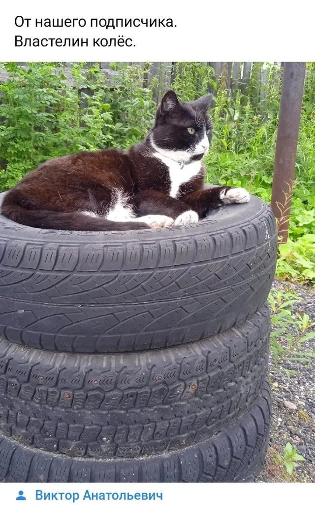 Посмеялся сам - поделись с другом!!!