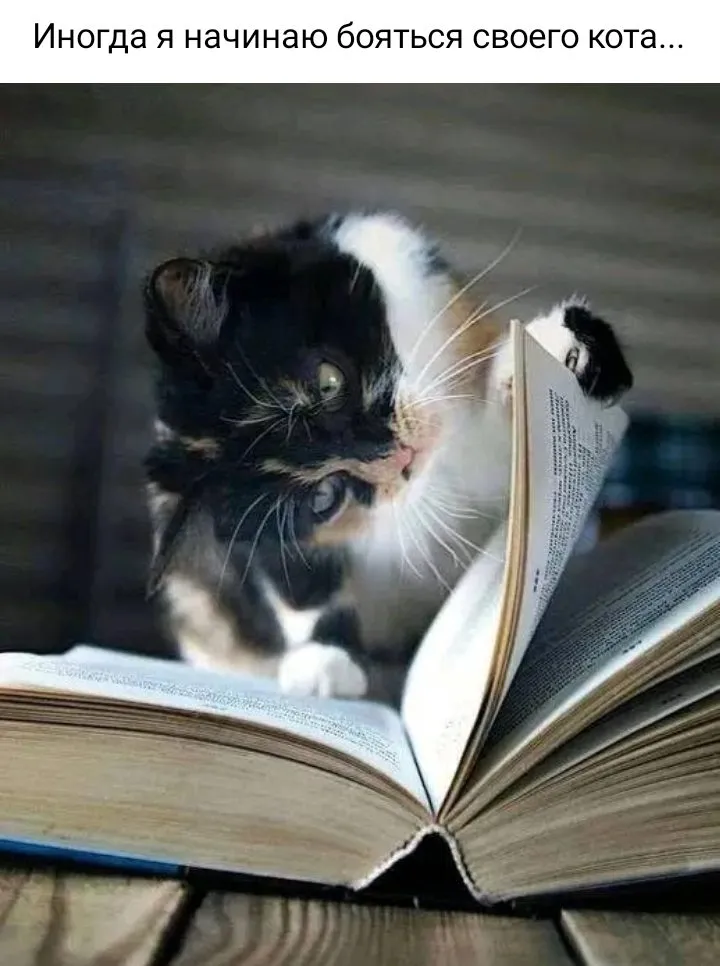 Посмеялся сам - поделись с другом!!!