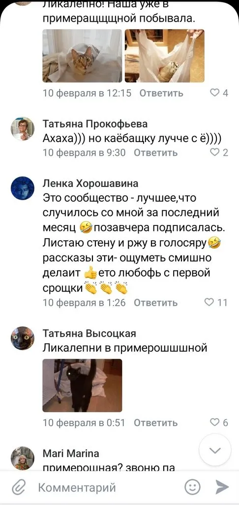 Кошичкина полиция