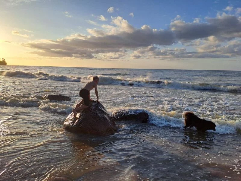 Фотонастроение