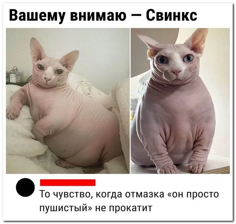 Посмеялся сам - поделись с другом!!!