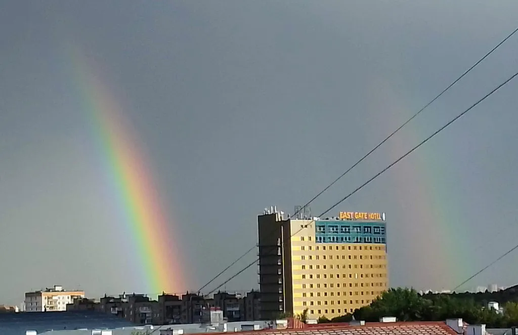 Tapтaлeтки & Ко