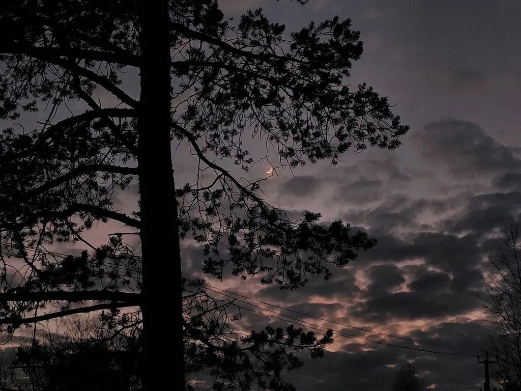 Такое разное небо