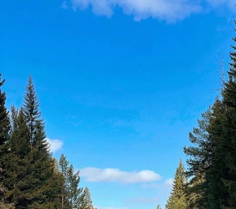 Такое разное небо